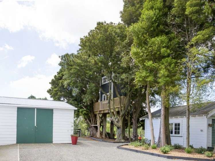 82 Victoria Avenue Dannevirke_22