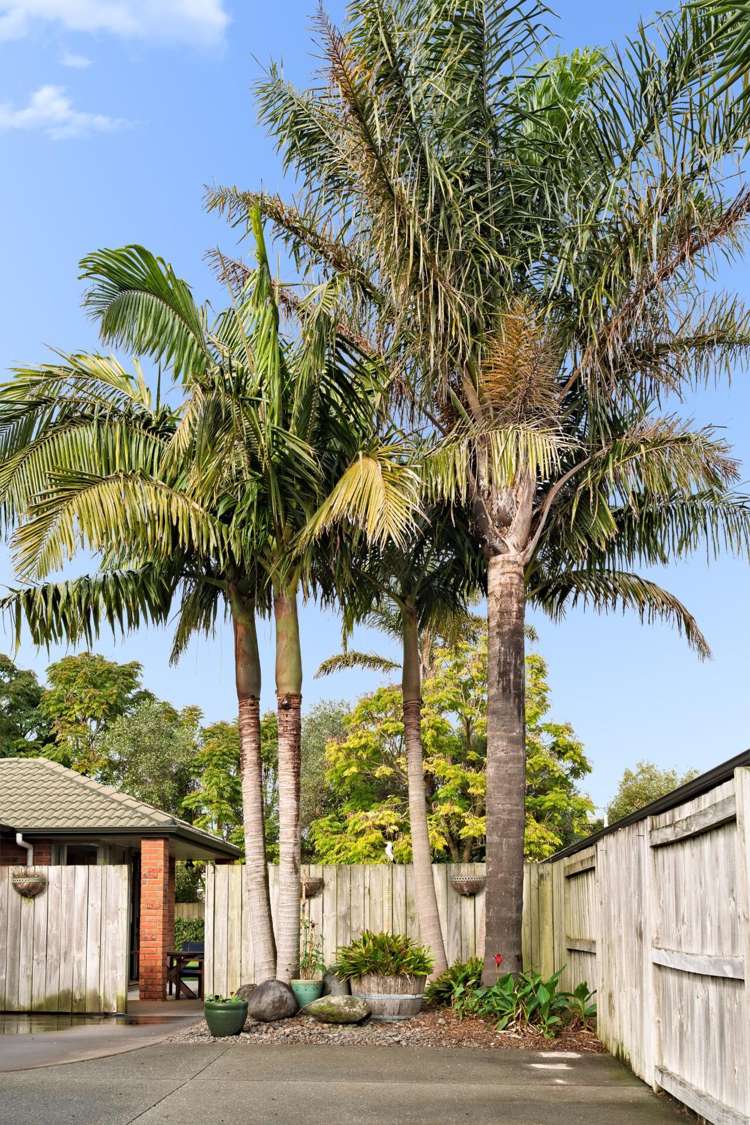 50 Roxbury Place Papamoa_21