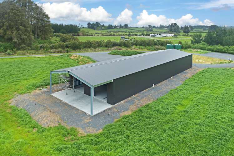 79 Mckenzie Road Mangatawhiri_9