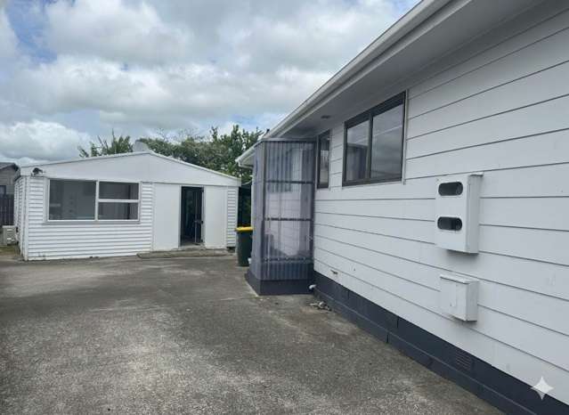 24 Palmers Road Clendon Park_4