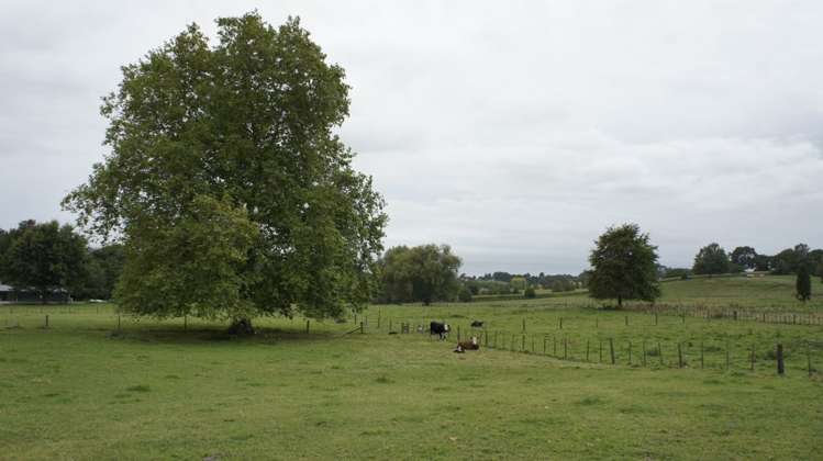 241 Saint Leger Road Kihikihi_6