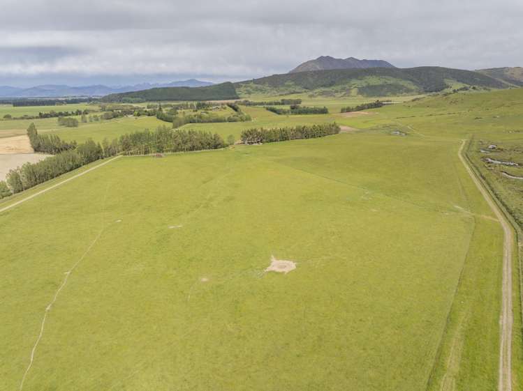 304 Acton Downs Road Acton_27