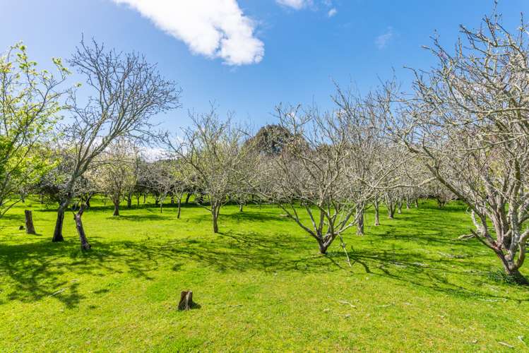 35 Whelans Road Levin_7