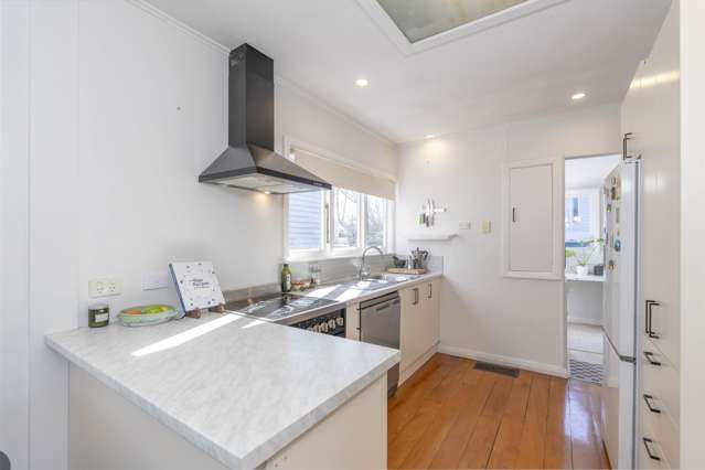 43 Old Mill Road Grey Lynn_4
