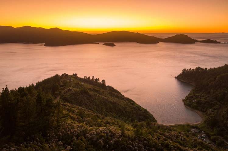 1786 Port Underwood Road Marlborough Sounds_14