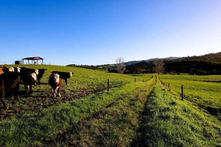 1177c East Coast Road Kaiaua_13