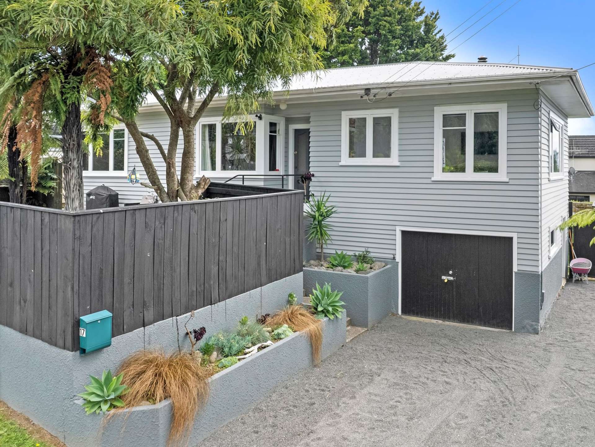 17 Argyle Avenue Levin_0