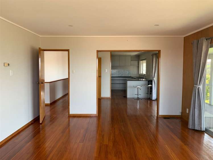 74 Carlton Street Hillsborough_3