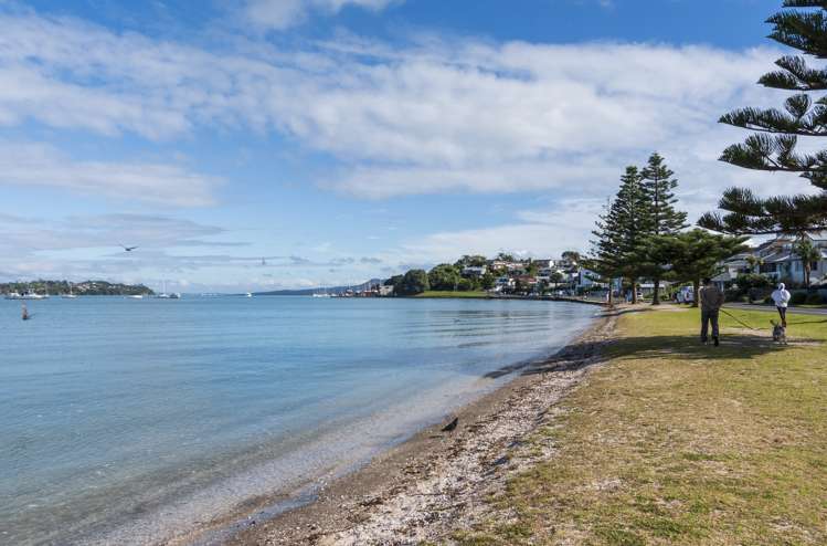 77a The Parade Bucklands Beach_42