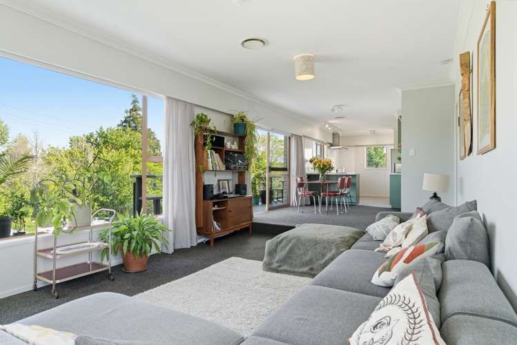 59 Dunlop Road Te Puke_5