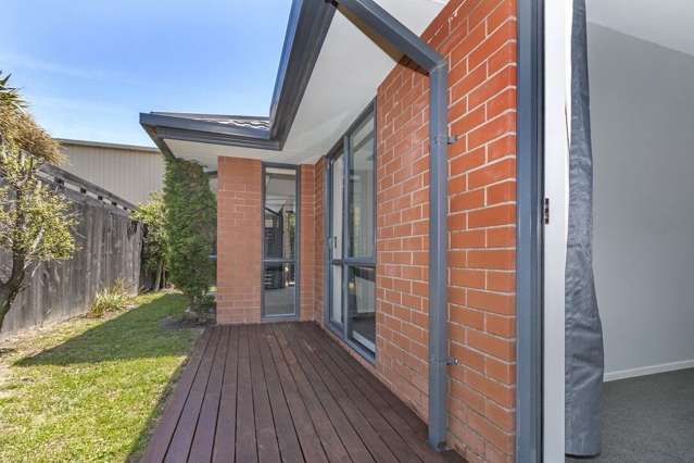 41 Hume Street Sydenham_2