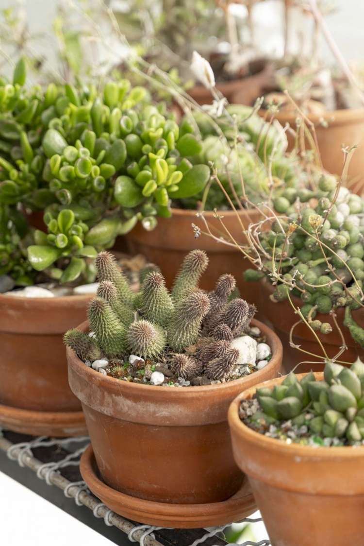 36/28 James Street Lincoln_15