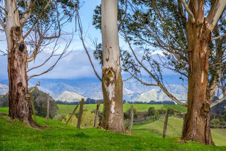 48 Norsewood Ormondville Road Norsewood_9