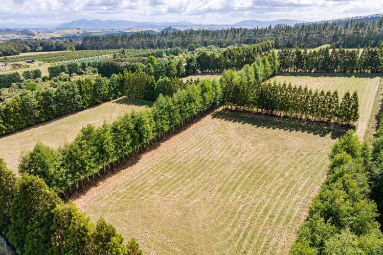 176 Whatitiri Road Maungatapere_1