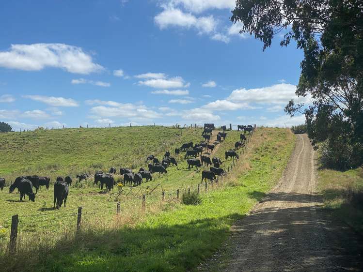 110 Harrison Road Tuatapere_9