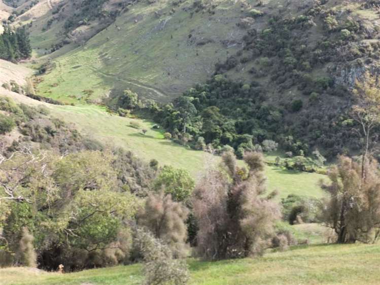 831 Chorlton Road Little Akaloa_26