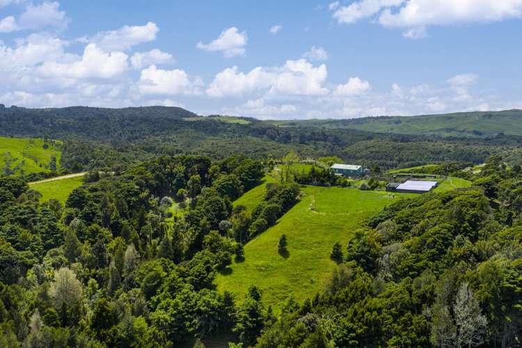 Te Akau Coast Road Te Akau_11