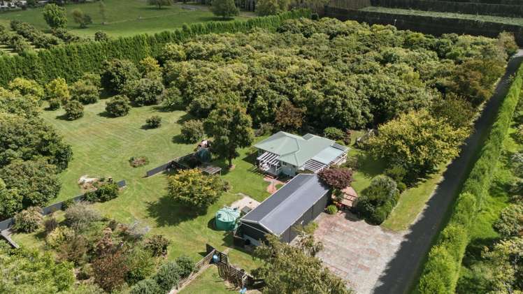 151a Hereford Road Oropi_15