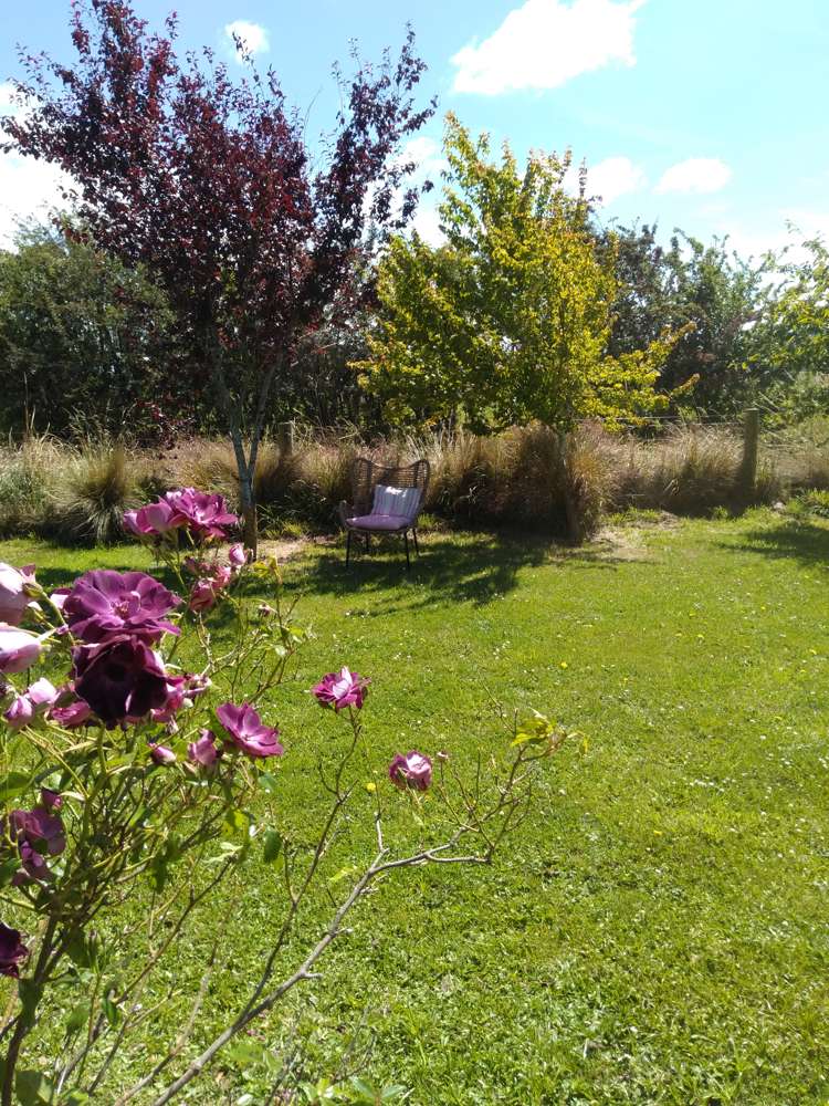 23 Goodwood Road Palmerston_22