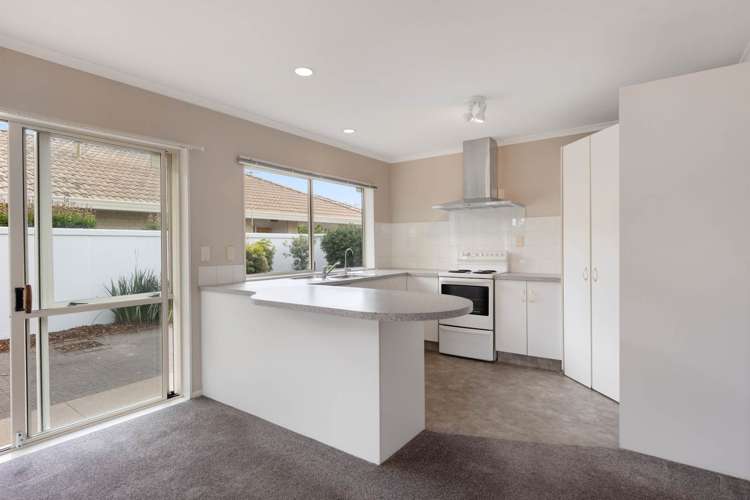 7 Verbena Glen Mount Maunganui_5