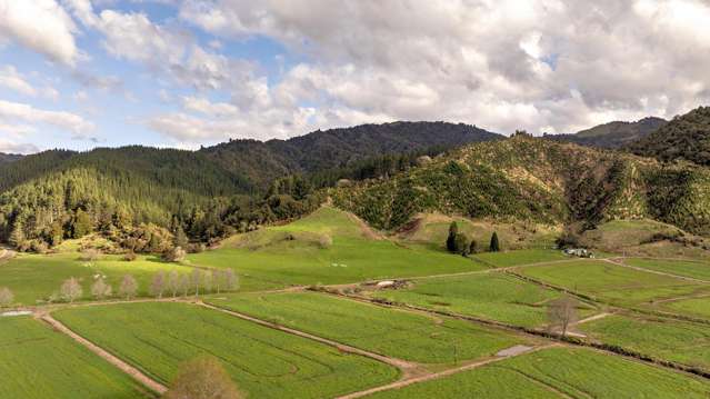 956 Otara Road Opotiki_1