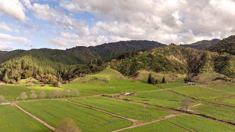 956 Otara Road Opotiki_1