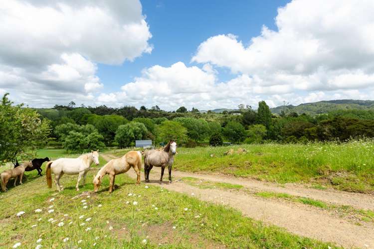 48 Doel Road Kawakawa_32