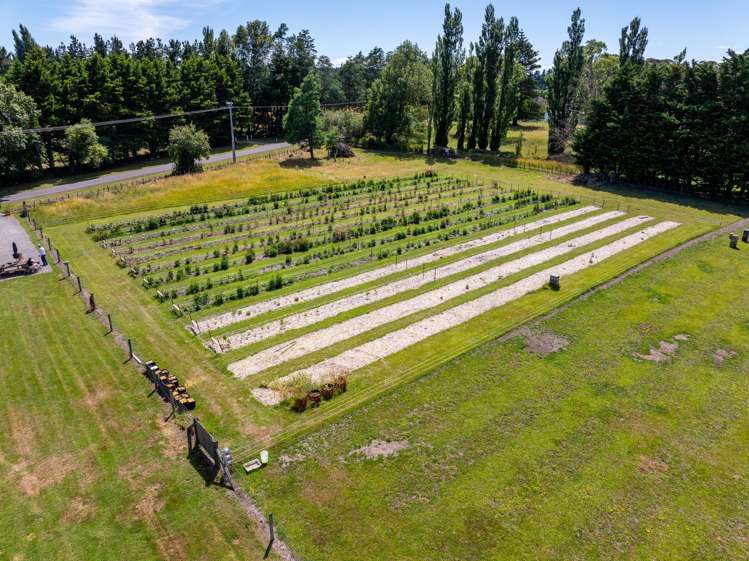 15 Havelock Road Havelock North_20