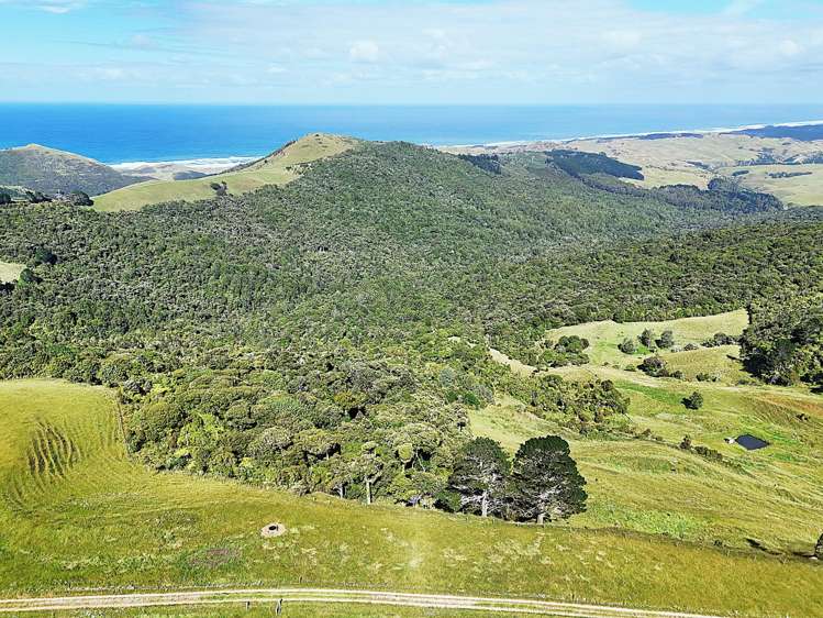 Cnr Hood Rd and SH12 Dargaville Surrounds_3