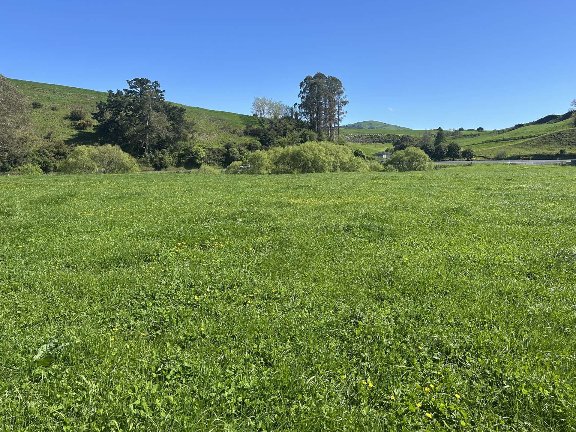 Lot 2, 51 Kiwi Road Pirongia_0
