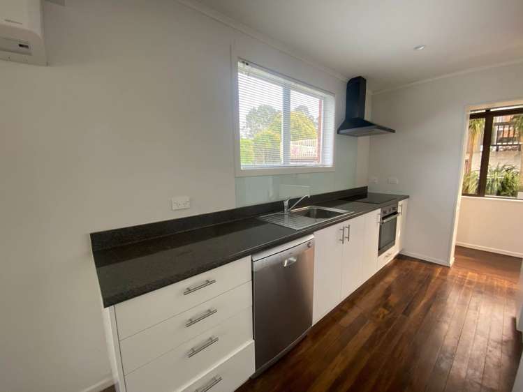 Bel Air Drive Hillsborough_5