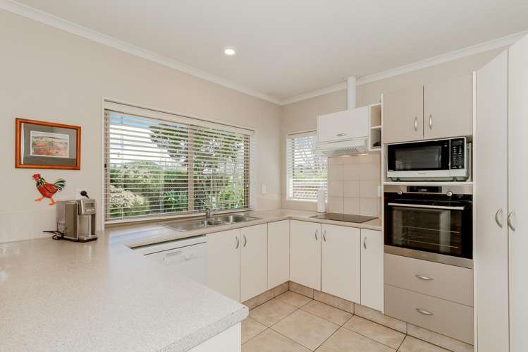 253 Guppy Road Taradale_6