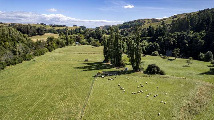 1182 Opaki Kaiparoro Road Mauriceville_8