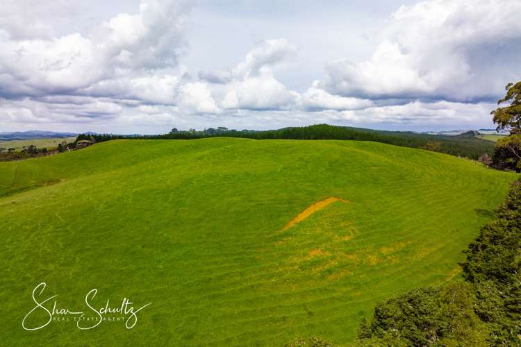 1509 Tinopai Road Tinopai_5