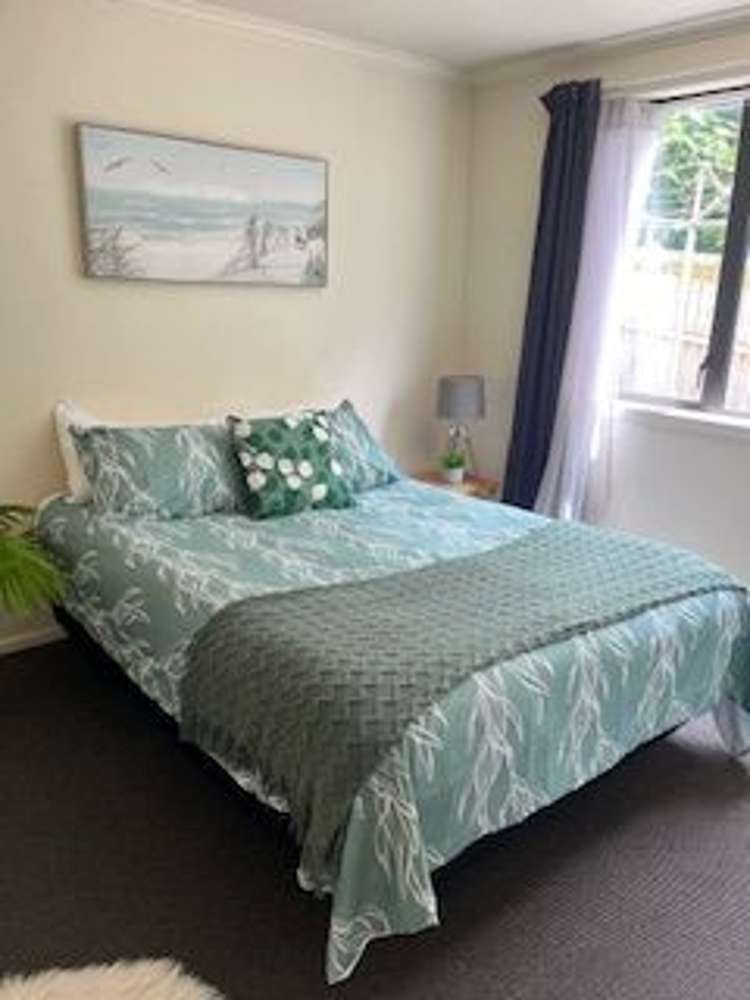 17 Serpentine Avenue Dunedin Central_15