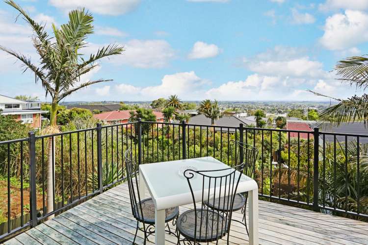 9a Routly Avenue Pukekohe_12