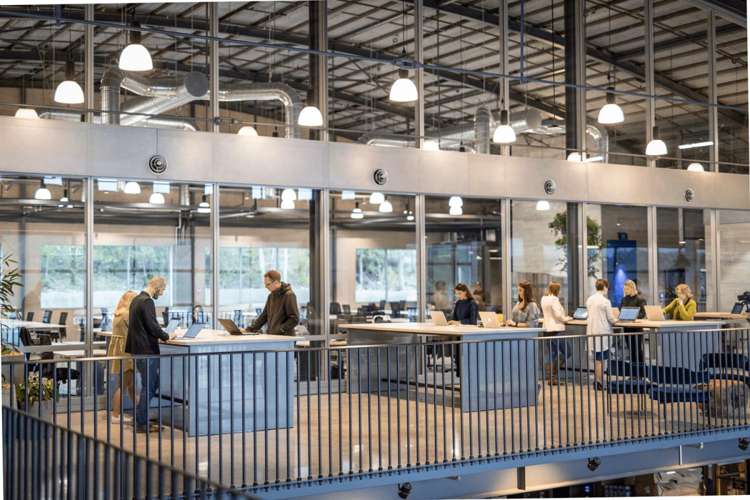 1-3 Boundary Road Hobsonville_16