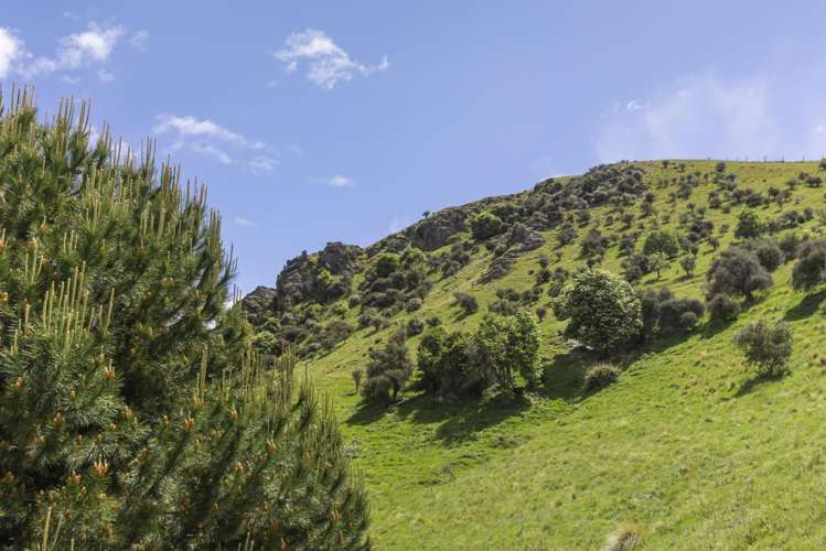 1631 Gibbston Highway Arrow Junction_51