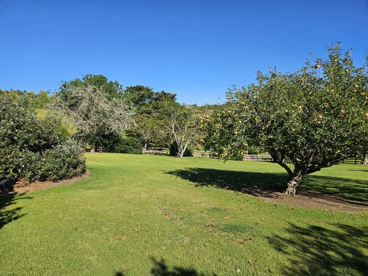 25 Hawkes Access Road Waitoki_21