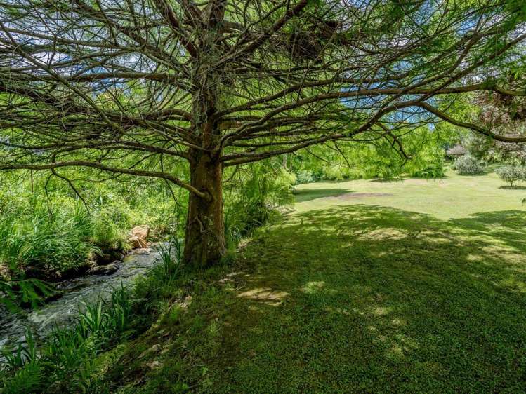 16 Limelight Lane Kerikeri_8