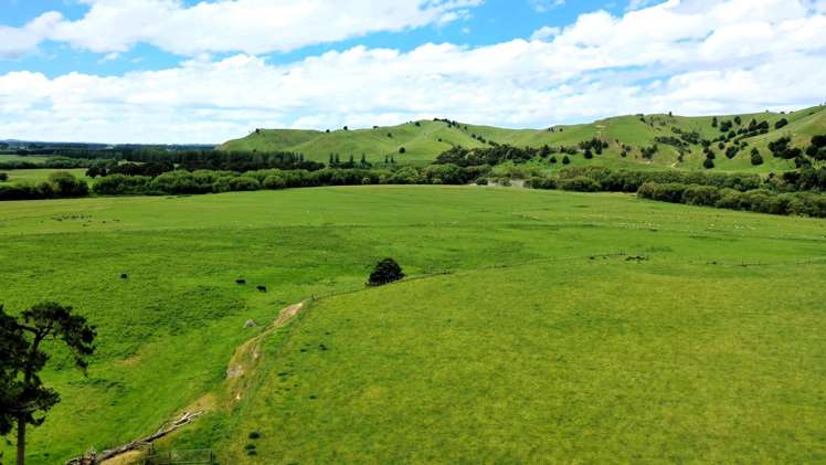 253 Oringi Road Dannevirke_10