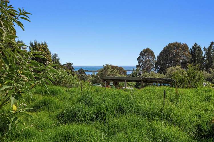 93 Loop Road Ohiwa_13