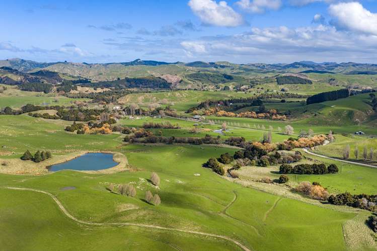 1550 Glenora Road Akitio_31