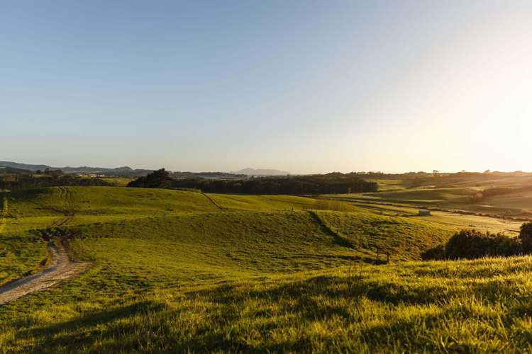 10 Wallbank Way Mangawhai_8