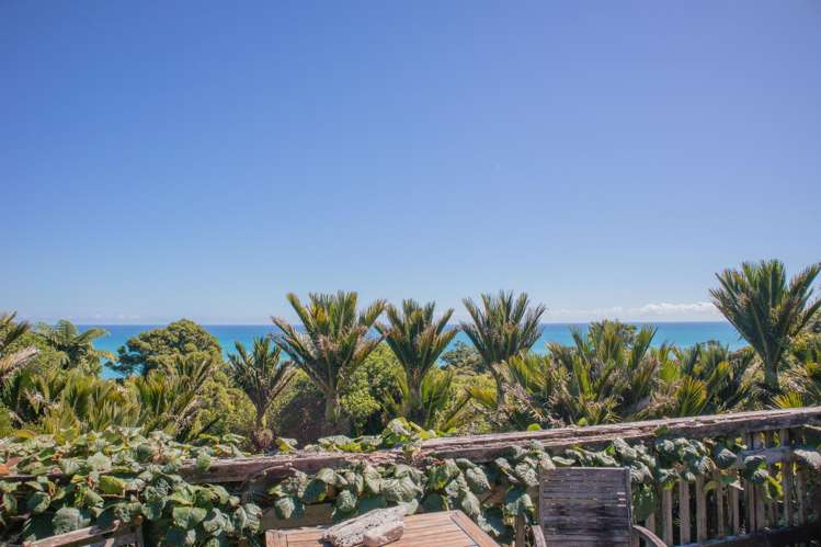 4629 State Highway 6 Te Miko_9