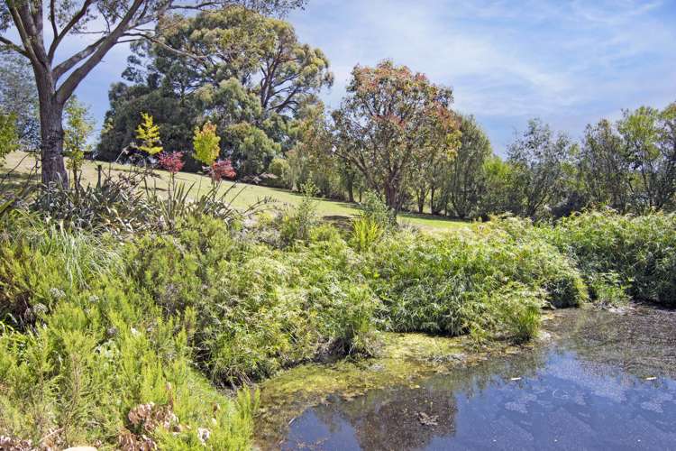 129 Maisey Road Redwood Valley_25