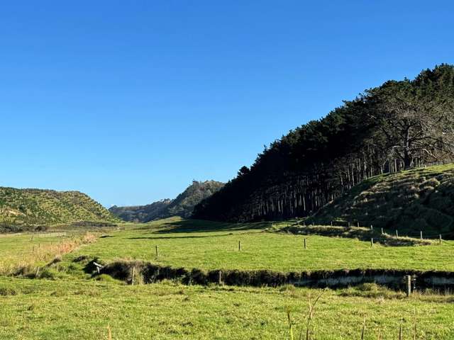 17 Kai Iwi Lakes Road Dargaville_4