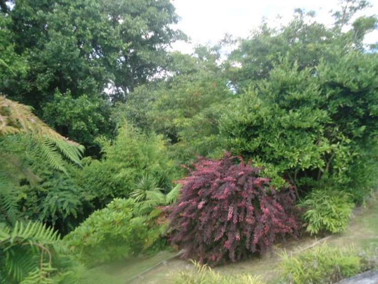 24 Ruru Crescent Putaruru_16