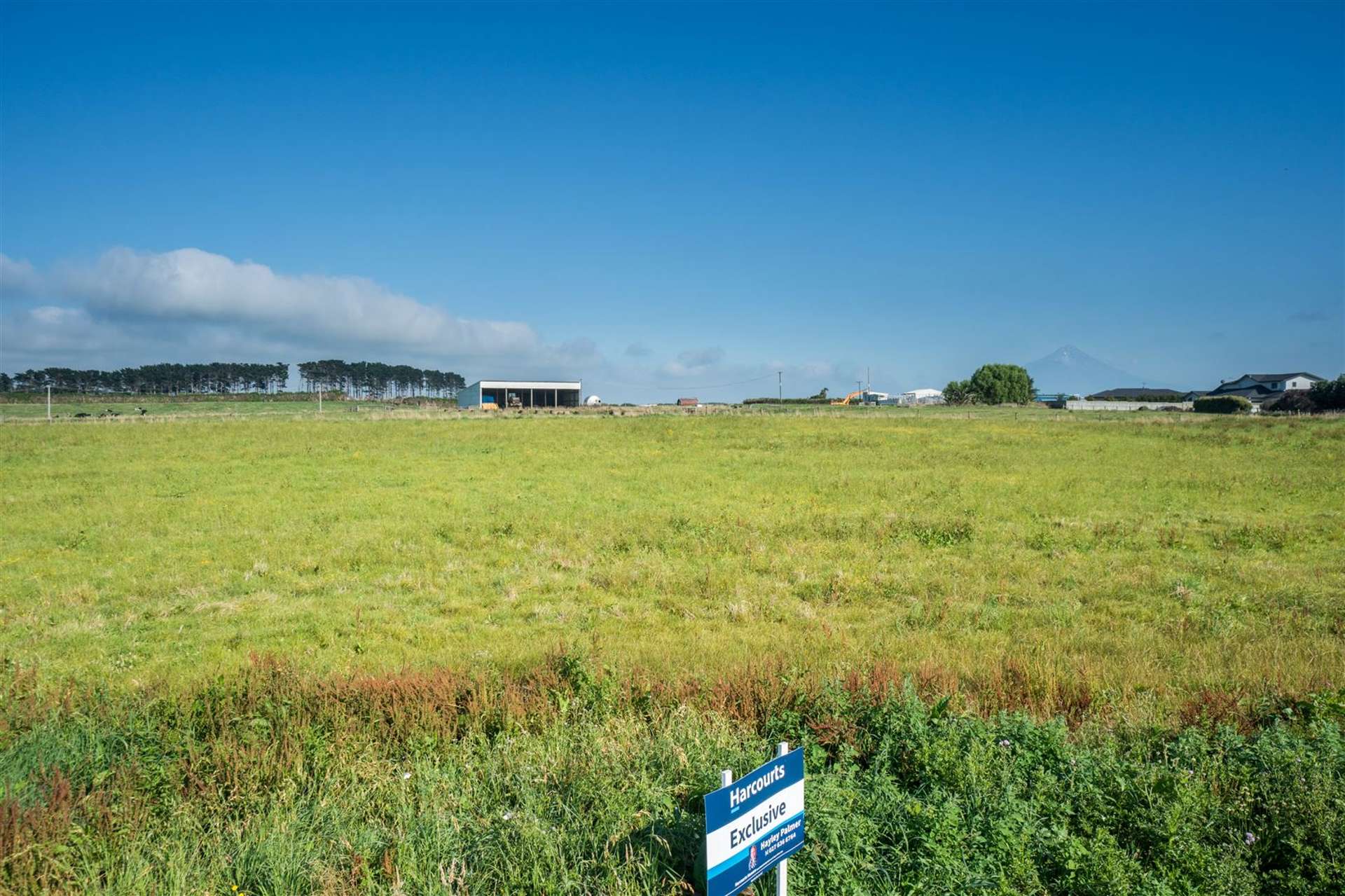 Larlin Drive Hawera_0