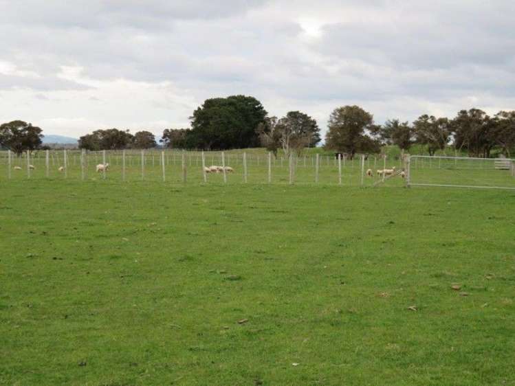 769 State Highway 2 Opaki_9